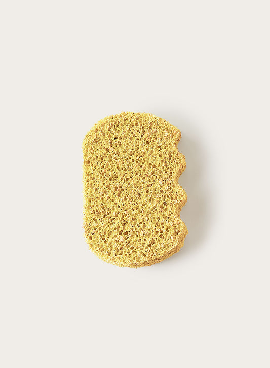Compostable Kitchen Sponges